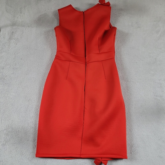 Elegant Red Ruffle Dress - Picture 4 of 11